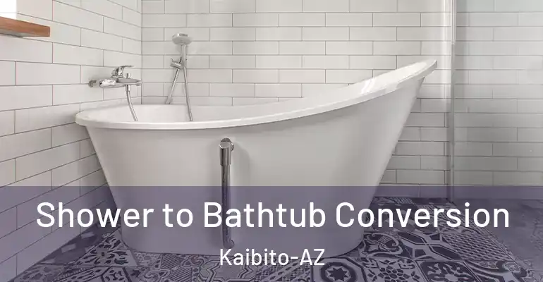 inner Bathroom imggen Shower to Bathtub Conversion Kaibito-AZ