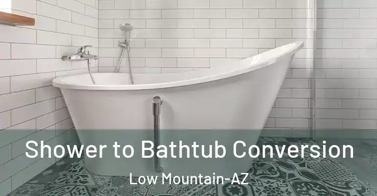 inner Bathroom imggen Shower to Bathtub Conversion Low Mountain-AZ