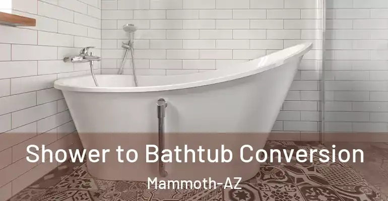 inner Bathroom imggen Shower to Bathtub Conversion Mammoth-AZ