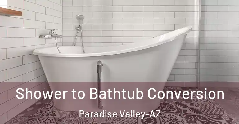 inner Bathroom imggen Shower to Bathtub Conversion Paradise Valley-AZ