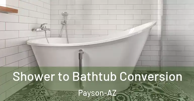 inner Bathroom imggen Shower to Bathtub Conversion Payson-AZ