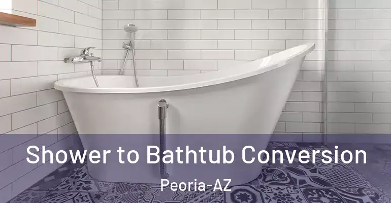 inner Bathroom imggen Shower to Bathtub Conversion Peoria-AZ