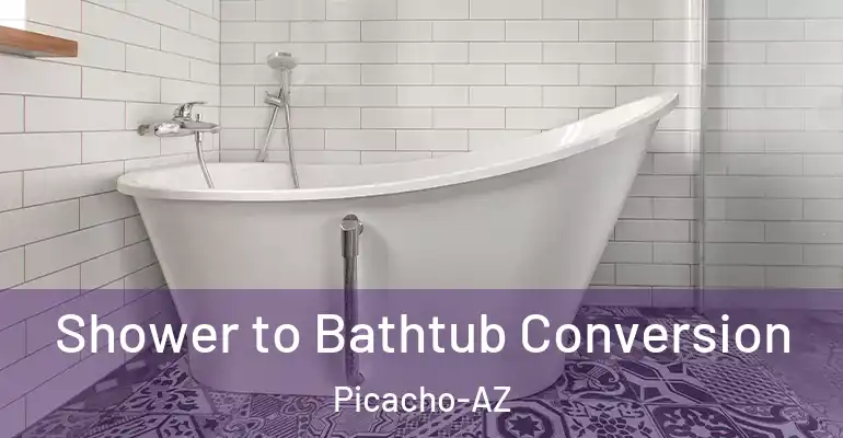 inner Bathroom imggen Shower to Bathtub Conversion Picacho-AZ