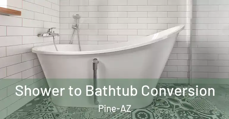 inner Bathroom imggen Shower to Bathtub Conversion Pine-AZ