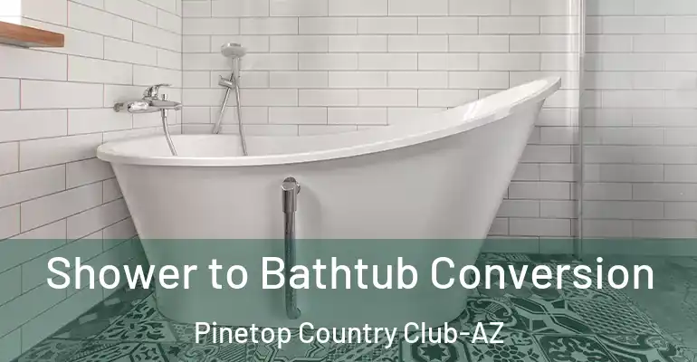 inner Bathroom imggen Shower to Bathtub Conversion Pinetop Country Club-AZ