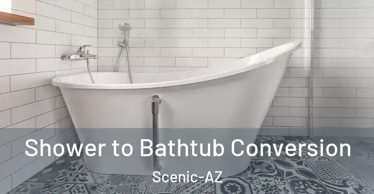 inner Bathroom imggen Shower to Bathtub Conversion Scenic-AZ
