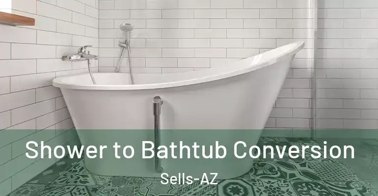 inner Bathroom imggen Shower to Bathtub Conversion Sells-AZ
