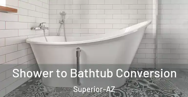 inner Bathroom imggen Shower to Bathtub Conversion Superior-AZ