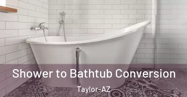 inner Bathroom imggen Shower to Bathtub Conversion Taylor-AZ