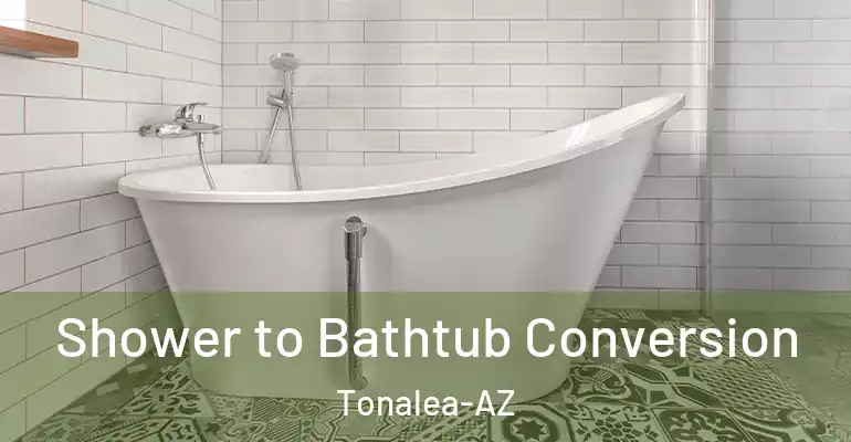 inner Bathroom imggen Shower to Bathtub Conversion Tonalea-AZ
