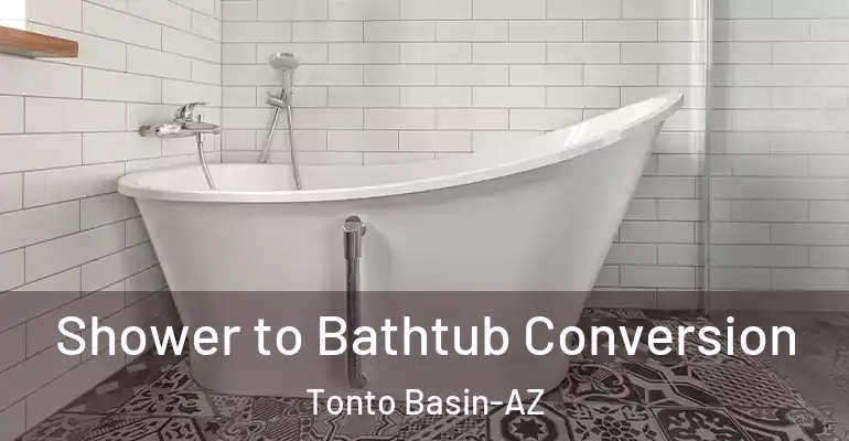 inner Bathroom imggen Shower to Bathtub Conversion Tonto Basin-AZ