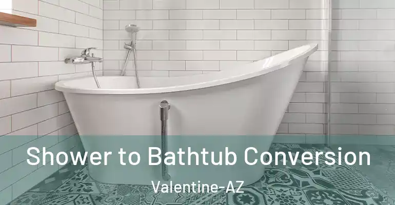 inner Bathroom imggen Shower to Bathtub Conversion Valentine-AZ