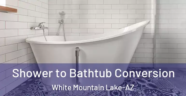 inner Bathroom imggen Shower to Bathtub Conversion White Mountain Lake-AZ