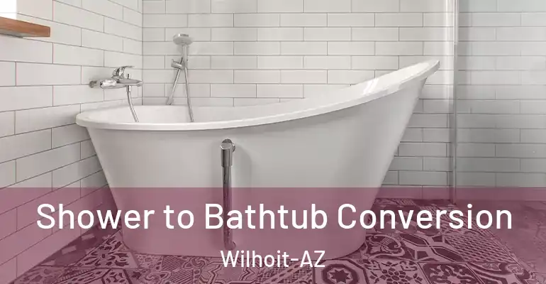 inner Bathroom imggen Shower to Bathtub Conversion Wilhoit-AZ