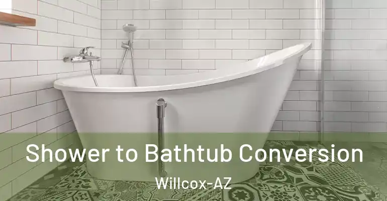 inner Bathroom imggen Shower to Bathtub Conversion Willcox-AZ