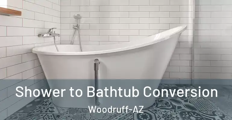 inner Bathroom imggen Shower to Bathtub Conversion Woodruff-AZ