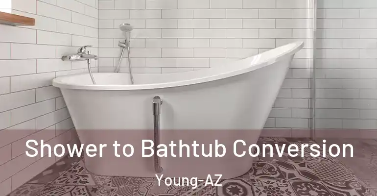 inner Bathroom imggen Shower to Bathtub Conversion Young-AZ