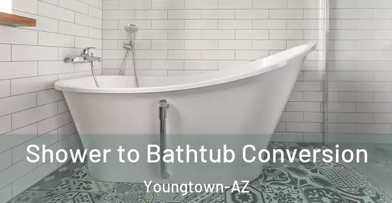 inner Bathroom imggen Shower to Bathtub Conversion Youngtown-AZ