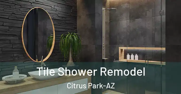 inner Bathroom imggen Tile Shower Remodel Citrus Park-AZ