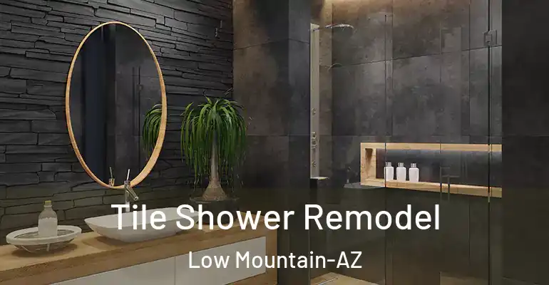 inner Bathroom imggen Tile Shower Remodel Low Mountain-AZ