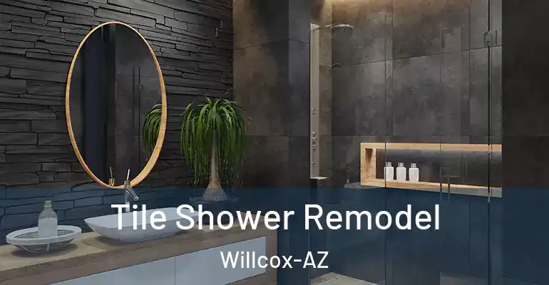 inner Bathroom imggen Tile Shower Remodel Willcox-AZ