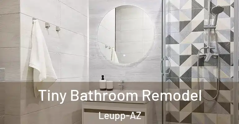 inner Bathroom imggen Tiny Bathroom Remodel Leupp-AZ