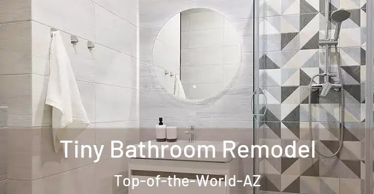 inner Bathroom imggen Tiny Bathroom Remodel Top-of-the-World-AZ