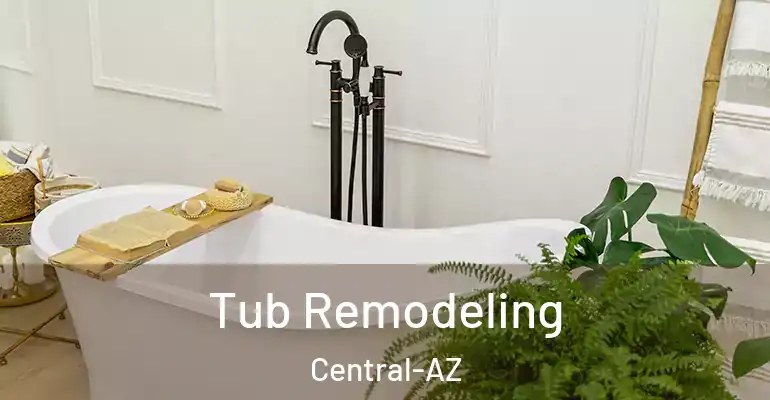 inner Bathroom imggen Tub Remodeling Central-AZ