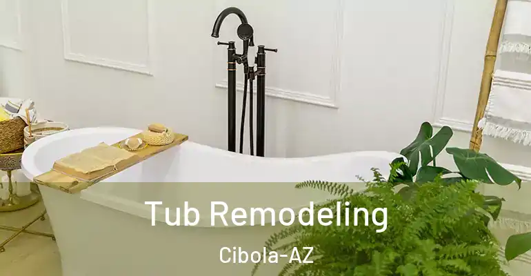 inner Bathroom imggen Tub Remodeling Cibola-AZ