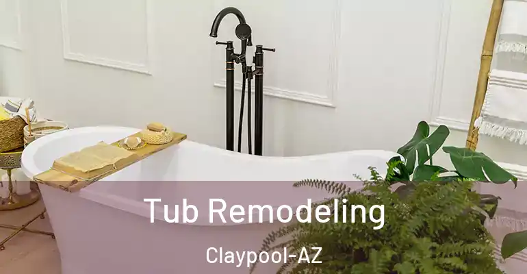 inner Bathroom imggen Tub Remodeling Claypool-AZ