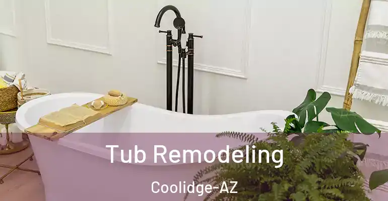 inner Bathroom imggen Tub Remodeling Coolidge-AZ