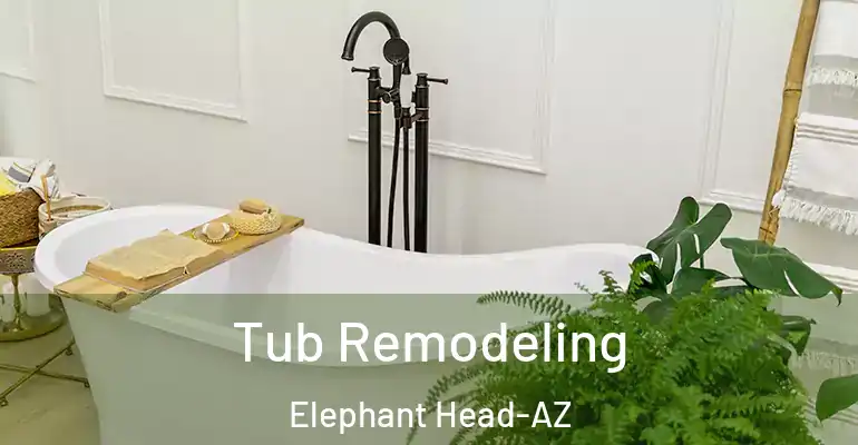 inner Bathroom imggen Tub Remodeling Elephant Head-AZ