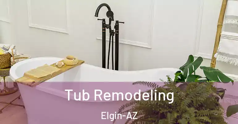 inner Bathroom imggen Tub Remodeling Elgin-AZ