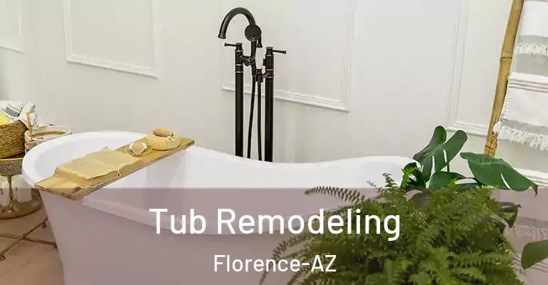 inner Bathroom imggen Tub Remodeling Florence-AZ