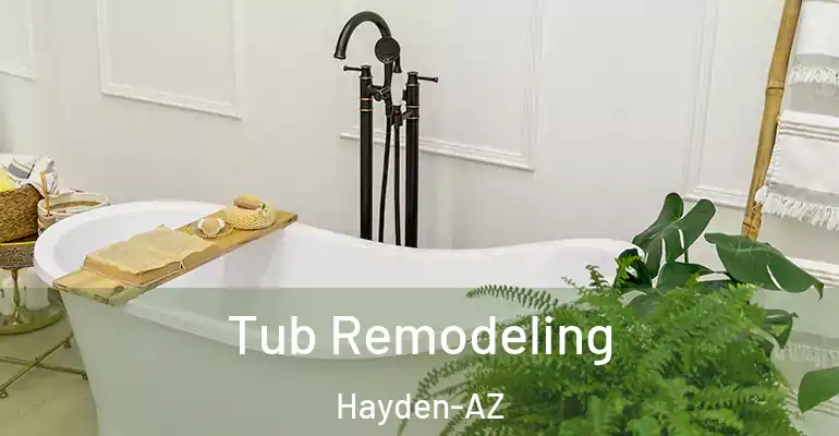 inner Bathroom imggen Tub Remodeling Hayden-AZ