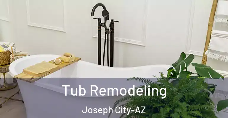 inner Bathroom imggen Tub Remodeling Joseph City-AZ