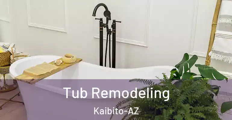 inner Bathroom imggen Tub Remodeling Kaibito-AZ