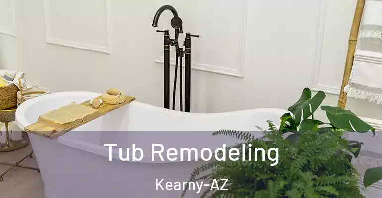 inner Bathroom imggen Tub Remodeling Kearny-AZ