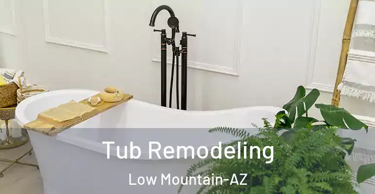 inner Bathroom imggen Tub Remodeling Low Mountain-AZ