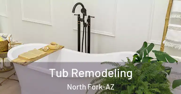 inner Bathroom imggen Tub Remodeling North Fork-AZ