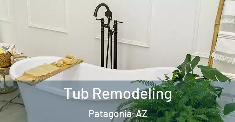 inner Bathroom imggen Tub Remodeling Patagonia-AZ
