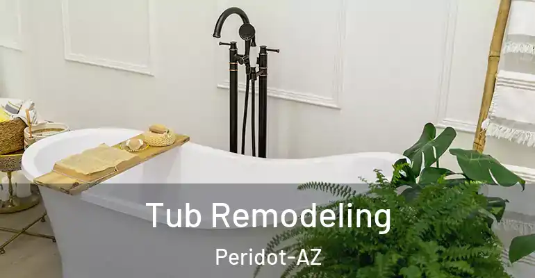 inner Bathroom imggen Tub Remodeling Peridot-AZ