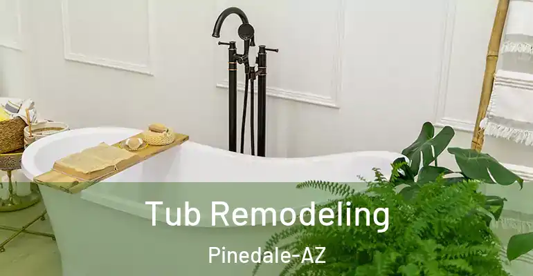inner Bathroom imggen Tub Remodeling Pinedale-AZ