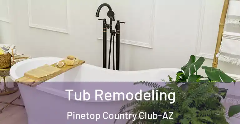 inner Bathroom imggen Tub Remodeling Pinetop Country Club-AZ