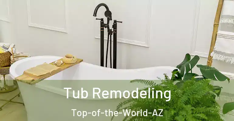 inner Bathroom imggen Tub Remodeling Top-of-the-World-AZ