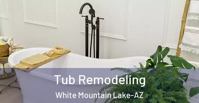 inner Bathroom imggen Tub Remodeling White Mountain Lake-AZ