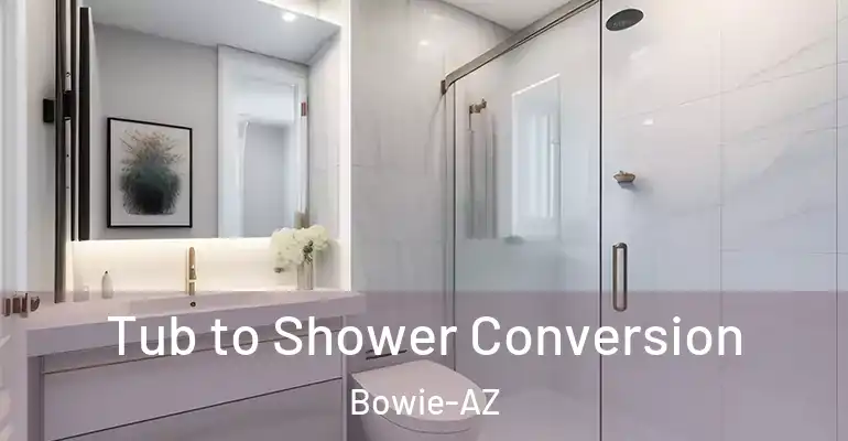 inner Bathroom imggen Tub to Shower Conversion Bowie-AZ
