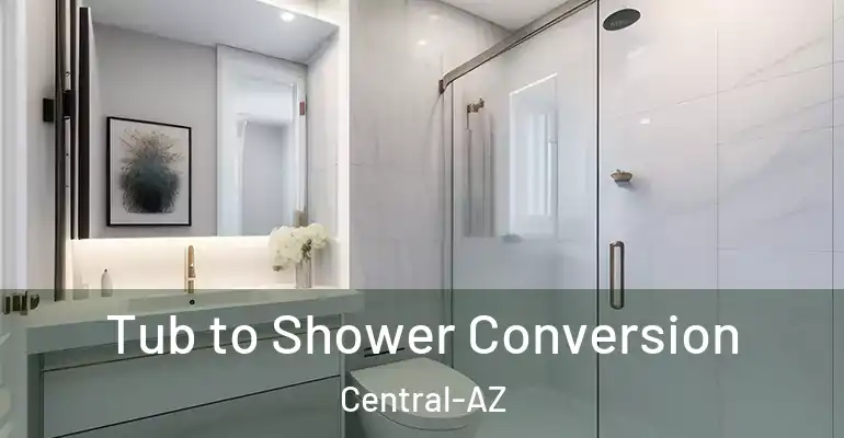 inner Bathroom imggen Tub to Shower Conversion Central-AZ