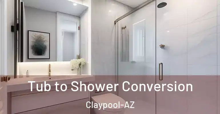 inner Bathroom imggen Tub to Shower Conversion Claypool-AZ