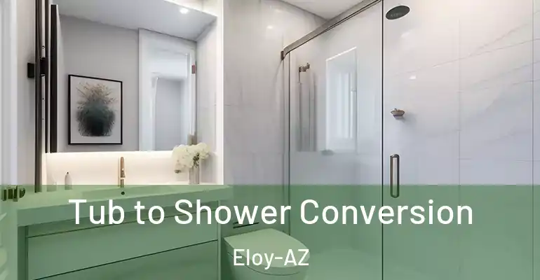 inner Bathroom imggen Tub to Shower Conversion Eloy-AZ